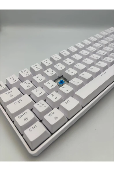 silabor T60 Beyaz Renk Mavi Switch RGB Mekanik Kablolu Driverli Oyuncu Klavyesi T60 Mini Türkçe Q Klavye - Resim 5