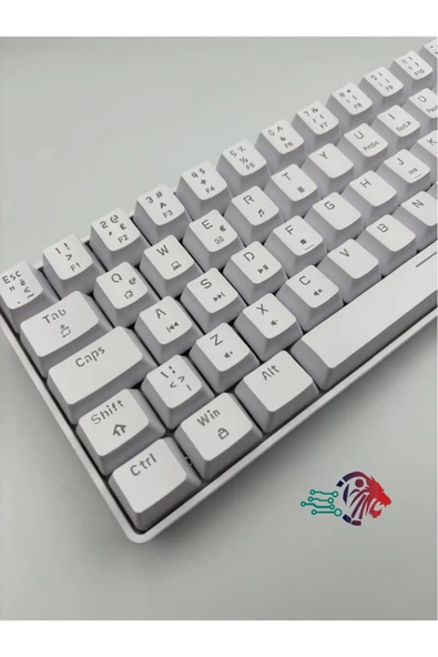 silabor T60 Beyaz Renk Mavi Switch RGB Mekanik Kablolu Driverli Oyuncu Klavyesi T60 Mini Türkçe Q Klavye - Resim 2