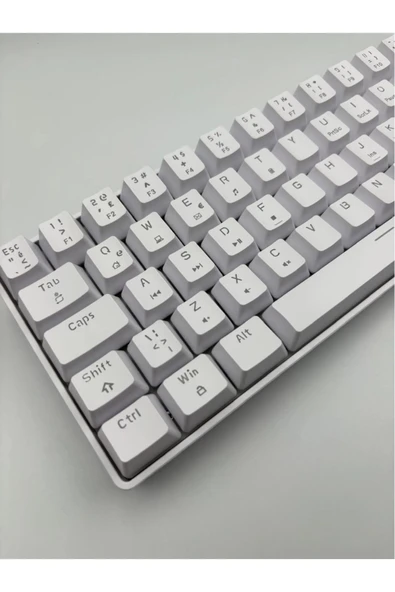 silabor T60 Beyaz Renk Mavi Switch RGB Mekanik Kablolu Driverli Oyuncu Klavyesi T60 Mini Türkçe Q Klavye - Resim 4