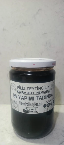 FİLİZ ZEYTİNCİLİK  KARADUT PEKMEZİ 850 g ürün görseli 1