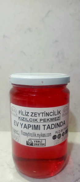 FİLİZ ZEYTİNCİLİK KIZILCIK PEKMEZİ 850 g ürün görseli 1