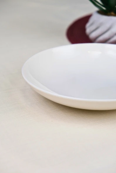 Tabak Evi Porselen Chic Çukur Tabak 19,50cm 550cc Tekli - Resim 4