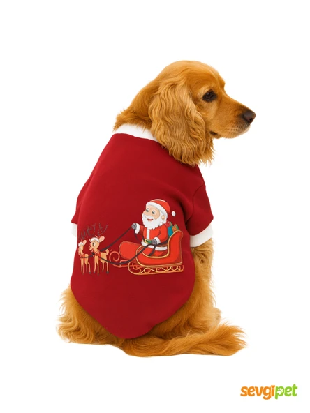 Yılbaşı Temalı Köpek Kıyafetleri (XS-S-M-L-XL Bedenler) - 3