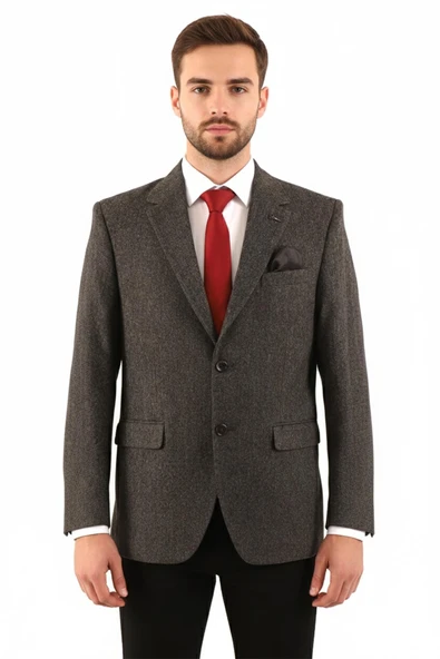 Regular Fit Erkek Tek Ceket - Resim 2
