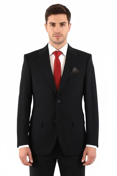 Regular Fit Erkek Tek Ceket - Resim 2