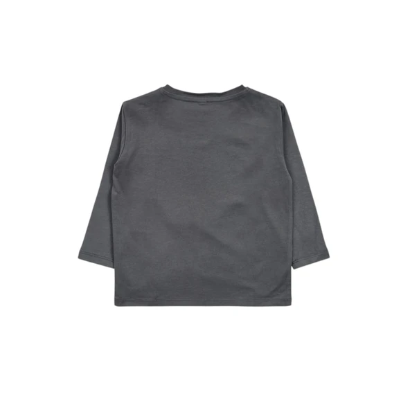 Hayvan Figürlü Erkek Çocuk T-shirt - Resim 3