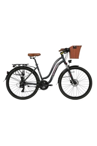 Bisan CTX 6300 KADIN ŞEHİR BİSİKLETİ 460H MD 28 JANT 21 VİTES GRİ PEMBE ürün görseli 1