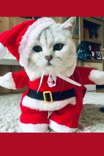 Şenlikli Noel Baba Köpek Kostüm Seti – Küçük Irklar İçin Sıcak Polyester Tulum, Kazak Tasarım Evcil Hayvan Kıyafeti-L beden - 3