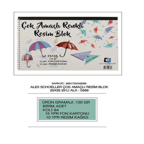 Alex Schoeller Resim Kağıdı+ Fon Karton Spiralli 25 Yp 25x35 120 Gr Alx-0589 ürün görseli