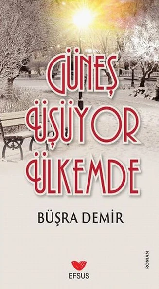 Güneş Üşüyor Ülkemde ürün görseli 1