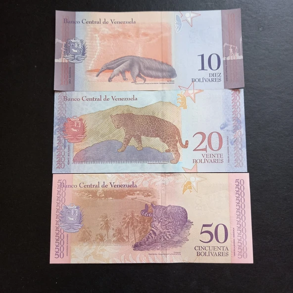 Escoines 3996368f4314ee3de7 Venezuela 10/20/50 Bolivar Çil ürün görseli 1