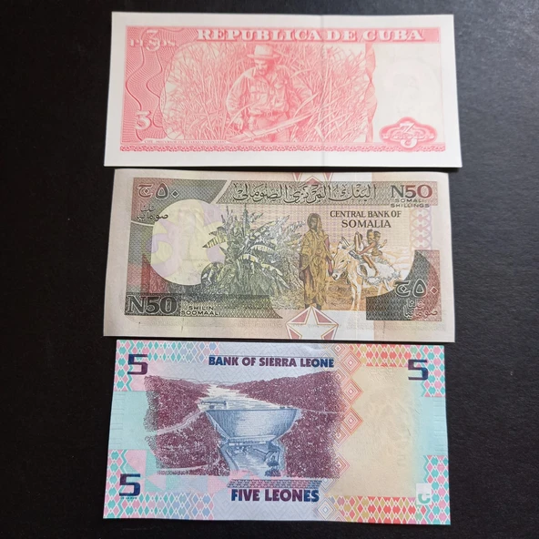 Escoines 3996368f4365331071 3'lü set Çil - Resim 4