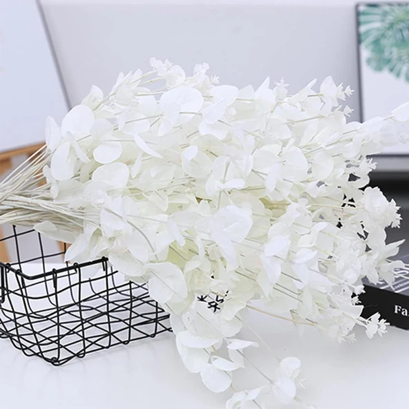 Yapay Çiçek Beyaz Okaliptus Aradal Arajman Çiçeği Eucalyptus - Resim 8