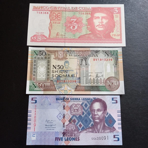 Escoines 3996368f4365331071 3'lü set Çil ürün görseli 1