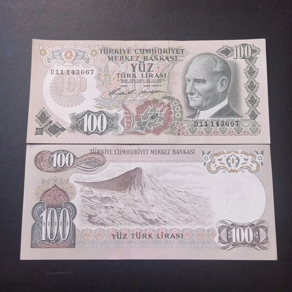 Escoines 3996368f6c6c0c54e6 6.Emisyon D11 Serisi  100Türk-Lirası ÇİL ürün görseli 1