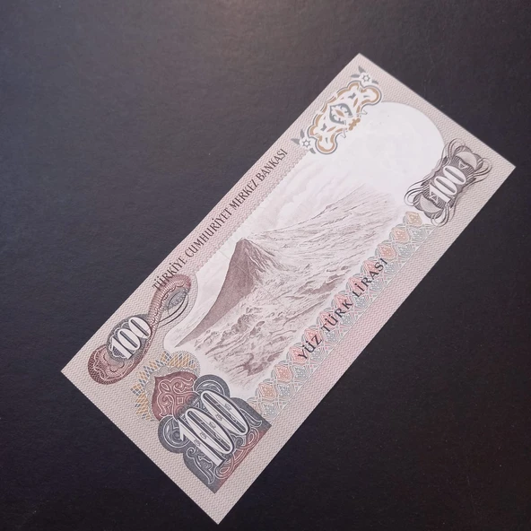 Escoines 3996368f6c6c0c54e6 6.Emisyon D11 Serisi  100Türk-Lirası ÇİL - Resim 4