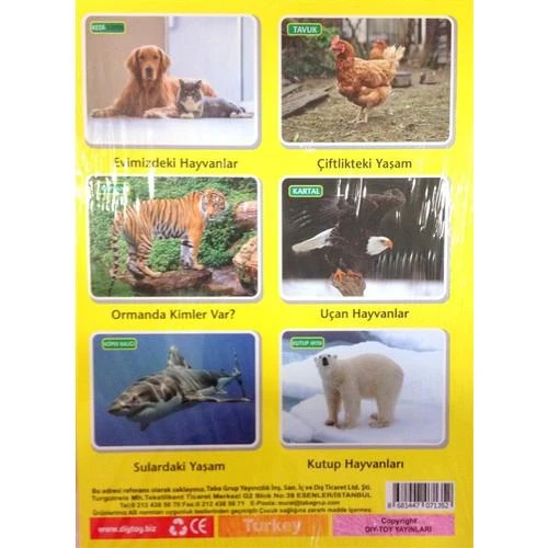 Diytoy İlk 50 Hayvan Flash Cards Hafıza Kartları Orijinal Ürün - Resim 2