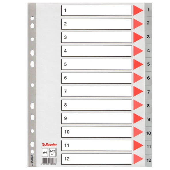 Esselte Seperatör 1-12 Rakamlı Plastik A4 100106 ürün görseli