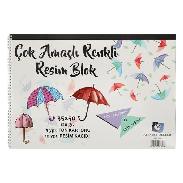 Alex Schoeller Çok Amaçlı Renkli Resim Blok 35x50cm 120g 25 Yaprak ürün görseli