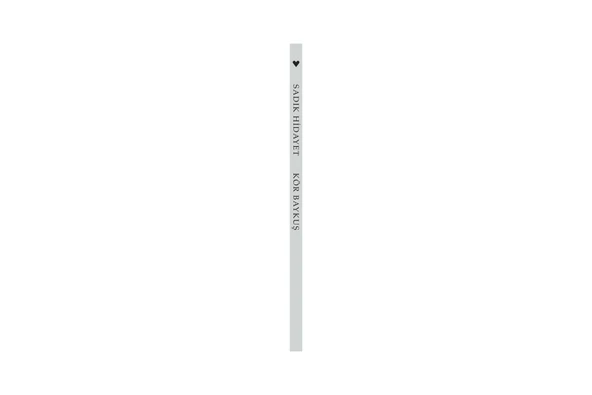 Kör Baykuş - Resim 2