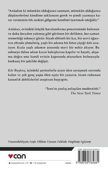 Kör Baykuş - Resim 3