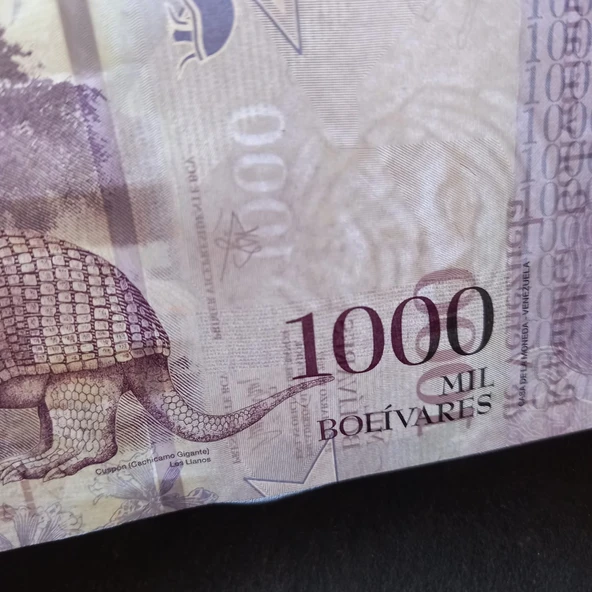 Escoines Koleksiyon 3996368f6220541a44 2017 Venezuela 1000 Bolivar ÇİL kağıt para - Resim 2