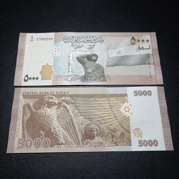 Escoines Koleksiyon 3996368f6359f7bb5d 2019 Suriye 5000 Pound ÇİL kağıt para ürün görseli 1