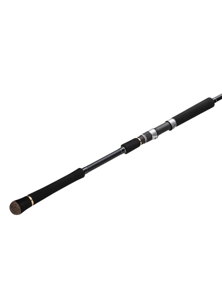Major Craft Crosride XR1 3.048cm 60-100g Shore Jigging Kamış - 2