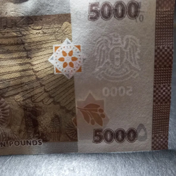 Escoines Koleksiyon 3996368f6359f7bb5d 2019 Suriye 5000 Pound ÇİL kağıt para - Resim 2