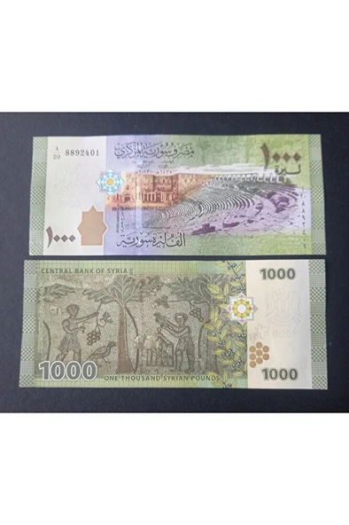 Escoines Koleksiyon 3996368f6345c0f747 Suriye 1000 Pound ÇİL eski yabancı kağıt para ürün görseli 1