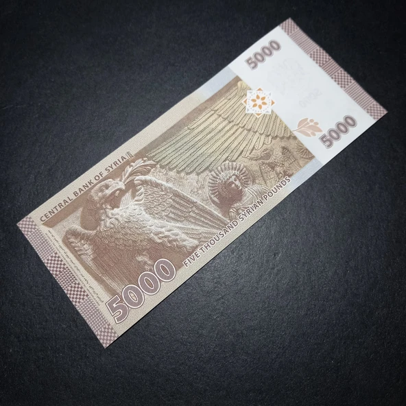 Escoines Koleksiyon 3996368f6359f7bb5d 2019 Suriye 5000 Pound ÇİL kağıt para - Resim 4