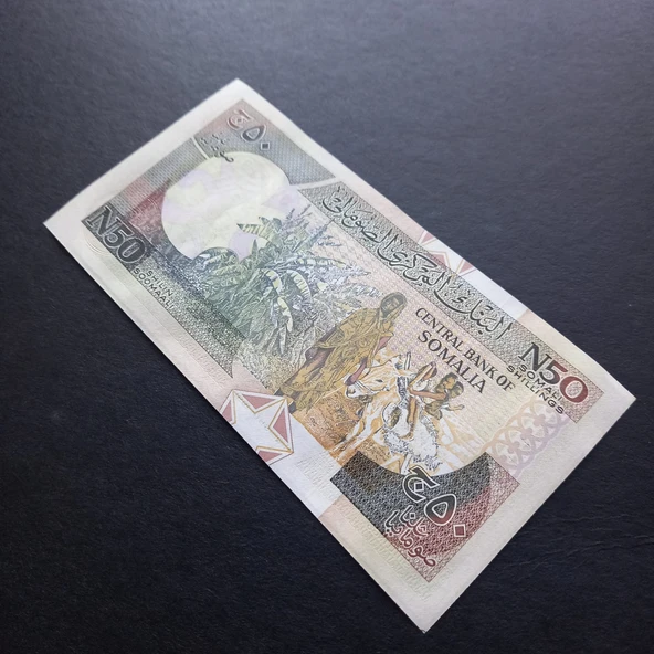 Escoines Koleksiyon 3996368f6377d6c1e3 1991 Somali 50 şilin ÇİL kağıt para - Resim 5