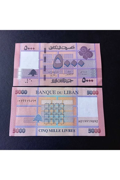 Escoines Koleksiyon 3996368f4234d92c09 Lübnan 5000 livres çil eski yabancı kağıt para ürün görseli 1
