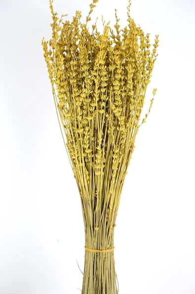 Şoklanmış Dökülmeye Gerçek Lavanta Hardal - Resim 2