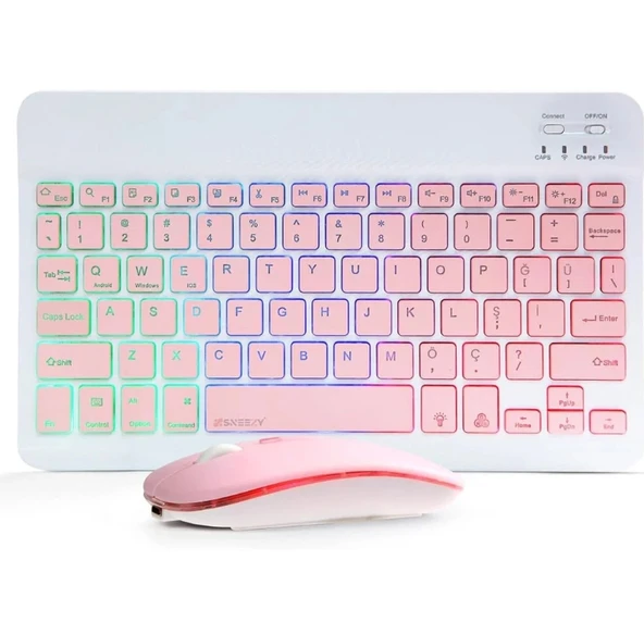 pilelistore ZR955 Pembe Rgb Km Set