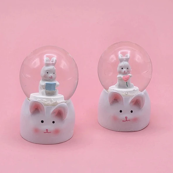 pilelistore Mini Boy Tavşan Tasarımlı Kar Küresi