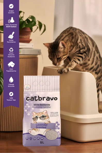 CATBRAVO Aktif  Topaklanan Lavanta Kokulu Kedi Kumu 5 Lt - Resim 3