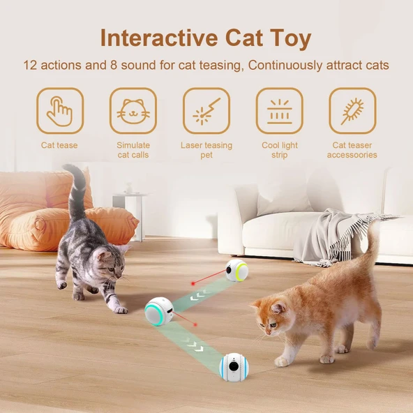 Smart PET Robot Kedi Köpek  Kamerası - Evcil Hayvan Kamerası - 2