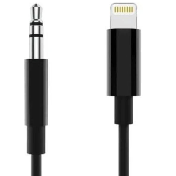 ZR500 Jh-023 Lightning Aux Çevirici