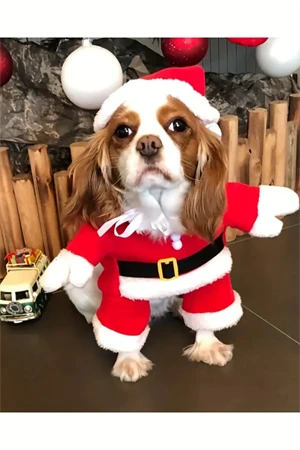 Şenlikli Noel Baba Köpek Kostüm Seti – Küçük Irklar İçin Sıcak Polyester Tulum, Kazak Tasarım Evcil Hayvan Kıyafeti-L beden - 6