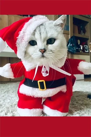 Şenlikli Noel Baba Köpek Kostüm Seti – Küçük Irklar İçin Sıcak Polyester Tulum, Kazak Tasarım Evcil Hayvan Kıyafeti-L beden - 3