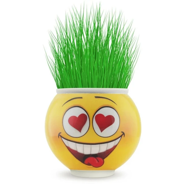 Sevimli Çim Adam Emoji Figürlü Orijinal Lisanslı Oyuncak 1 Adet Toprak ve Tohumlu Eğlenceli Dekoratif Saksı Kafadan Çimlenen Karakter Bitki Oyuncağı - 5
