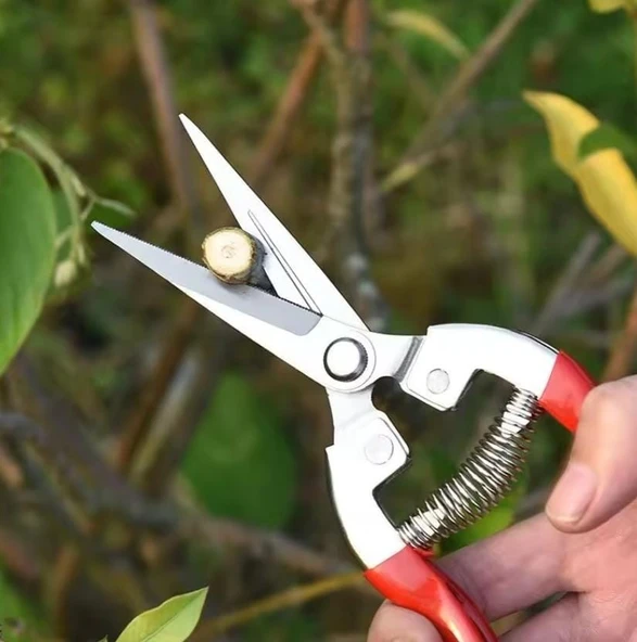 Bitkiler Ve Çiçekler Için Bahçe Budama Makası Üzüm Bağı Dal Fidan Budama Makası