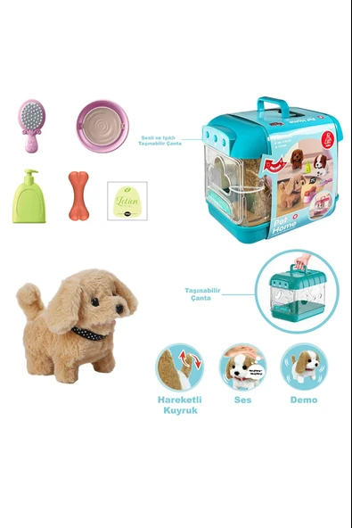 Vardem Sesli Hareketli Köpek Ve Işıklı Şeffaf Kafes Set JND-6806 Krem Renk