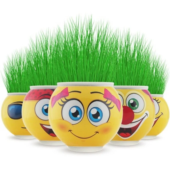 Sevimli Çim Adam Emoji Figürlü Orijinal Lisanslı Oyuncak 1 Adet Toprak ve Tohumlu Eğlenceli Dekoratif Saksı Kafadan Çimlenen Karakter Bitki Oyuncağı - 6