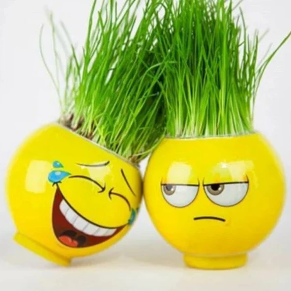 Sevimli Çim Adam Emoji Figürlü Orijinal Lisanslı Oyuncak 1 Adet Toprak ve Tohumlu Eğlenceli Dekoratif Saksı Kafadan Çimlenen Karakter Bitki Oyuncağı - 4