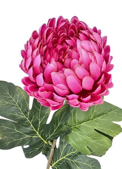 Yapay Çiçek Krizantem Fuşya 90cm Tek Dal Kumaş Çiçek Uzun Dal - Resim 8