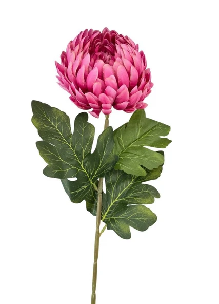 Yapay Çiçek Krizantem Fuşya 90cm Tek Dal Kumaş Çiçek Uzun Dal - Resim 7