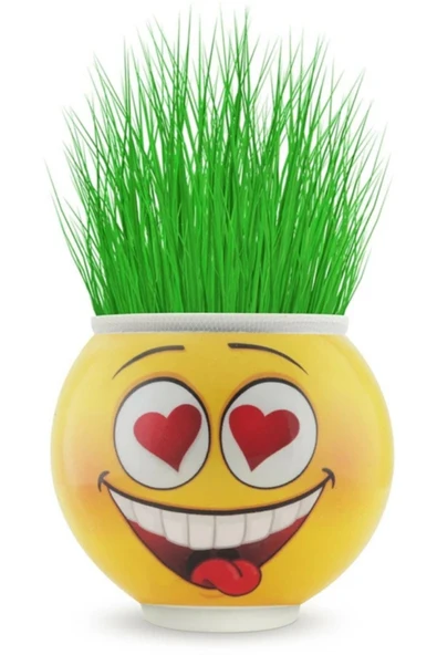 Sevimli Çim Adam Emoji Figürlü Orijinal Lisanslı Oyuncak 1 Adet Toprak ve Tohumlu Eğlenceli Dekoratif Saksı Kafadan Çimlenen Karakter Bitki Oyuncağı