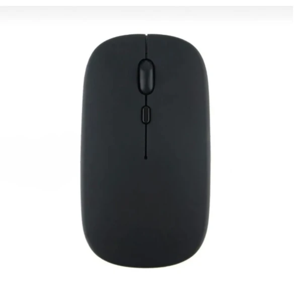 ZR216 Siyah Bluetooth Mouse